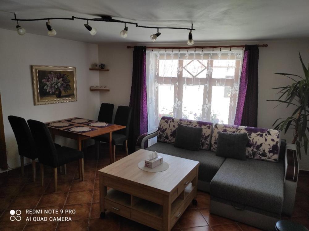 Apartman Pod Sribrnou Horou Lhenice エクステリア 写真