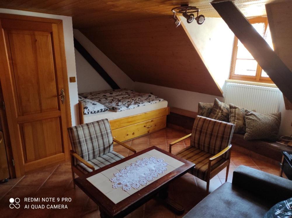 Apartman Pod Sribrnou Horou Lhenice エクステリア 写真